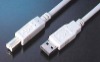 USBAM/BM USB CABLE