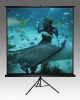 Vega Vesta Tripod Screen