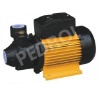 Vortex Pump