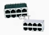 YH-59-06 5921S 8P 2x4 Connector