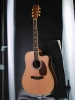 acoustic guitar