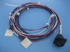 auto lamp wire harness
