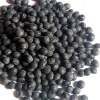 black soybean