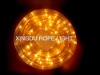 chasing light,rice rope lights,christmas light