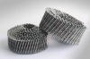 coil nail