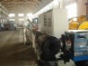 cooling trough for extruder line