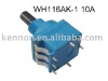 dimmer potentiometer