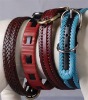 dog Collars, pet collars, pet products
