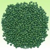 double green beans