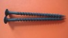 drywall screw