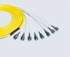fan out fiber optic pigtail