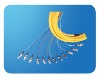 fiber optical bundle Pigtail