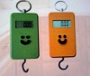 hanging scale