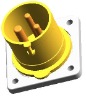main site plug