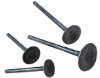 motorcycle spare parts of Engine valve (motorcycle engine valve,alloy valve)