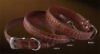 pet collar, dog collar, collar, pet product