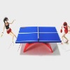 plastic pingpong figure