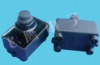 pulse igniter