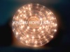 rice rope light,chirstmas light,tube light