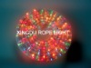 rice rope light,tube light , neon lighting