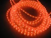 rice rope light,tube light,rainbow light