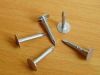 roofing nails