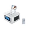 speaker system with alarm clock and FM radio for iPod