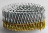 stainless steel coil nail