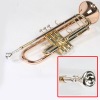 trumpet