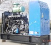 ricardo generator/ricardo diesel generator/ricardo genset
