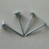 roofing nails