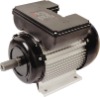 single-phase asynchronous motor(LY)