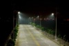 small wind turbine in road light