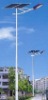 solar street lamp