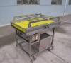 strawberry cleaning machine,strawberry cleaner