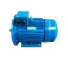 three-phase Motor
