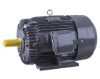 three phase asynchronous motor