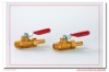 union ball valve