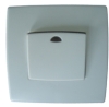 wall switch with Light