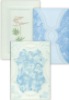 wall tiles  200*300
