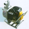 water pump QJL10