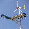 wind-optical energy complementary street lamp