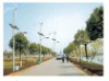 wind-solar hybrid generation road lamp