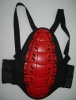 AB0606P back protector