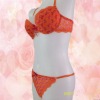 Attractive bra, fashionable brief, high quality and reasonable price