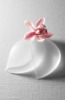 Bra Insert