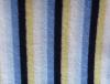 CVC Fabric
