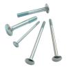 Carriage Bolt