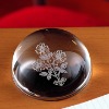 Crystal Paperweight(DM-12-PW016)