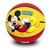 Disney #3 basketball